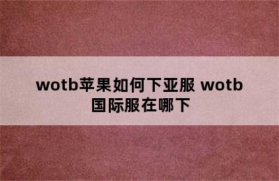 wotb苹果如何下亚服 wotb国际服在哪下